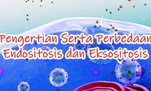 transpor aktif endositosis dan eksositosis