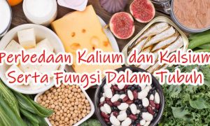 Perbedaan Kalium dan Kalsium Serta Fungsi Dalam Tubuh