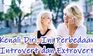 apa itu Introvert dan Extrovert