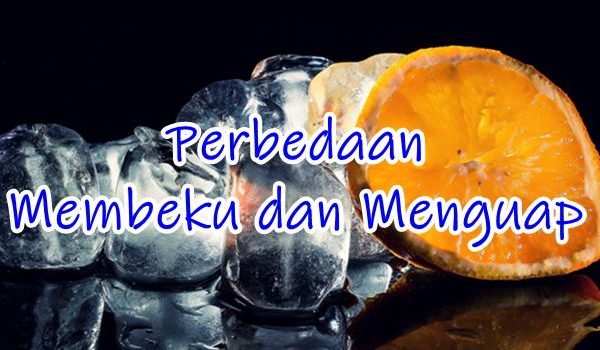 apa saja Perbedaan Membeku dan Menguap