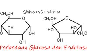 5 Perbedaan struktur Glukosa dan Fruktosa