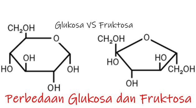 5 Perbedaan struktur Glukosa dan Fruktosa