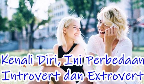 apa itu Introvert dan Extrovert